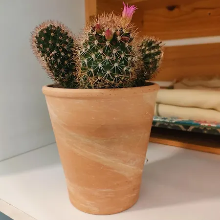 Estudio El Santo 2 Apartamento *