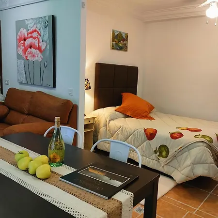 Estudio El Santo 2 *