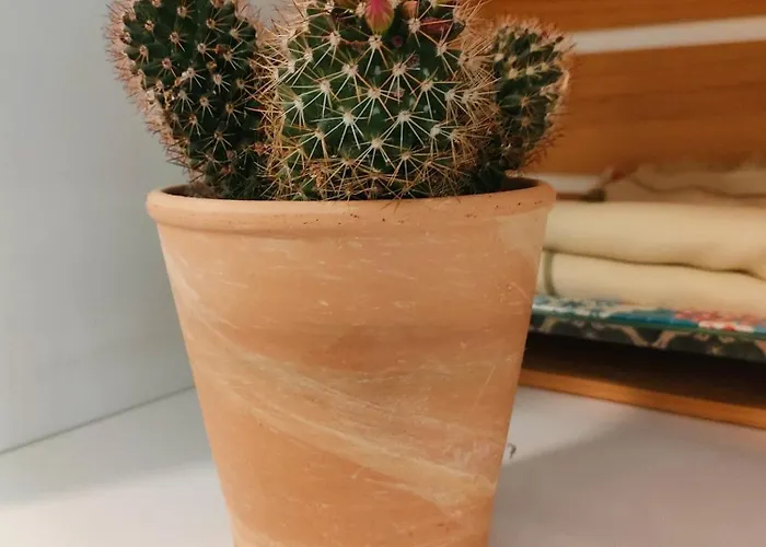 Estudio El Santo 2 Apartment *